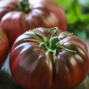 Cherokee Purple Tomato Seeds For Planting (Solanum lycopersicum)