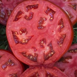 German Johnson Tomato Seeds For Planting (Solanum lycopersicum)