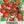 Large Red Cherry Tomato Seeds For Planting (Solanum lycopersicum)