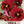Arkwright Ruby Viola Seeds For Planting (Viola cornuta)