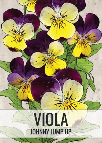 Johnny Jump Up Seeds For Planting, Helen Mount (Viola cornuta)