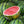 Crimson Sweet Watermelon Seeds For Planting (Citrullus lanatus)