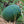Moon & Stars Watermelon Seeds For Planting 