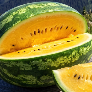 Mountain Sweet Yellow Watermelon Seeds For Planting (Citrullus lanatus)