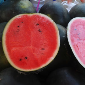 Sugar Baby Watermelon Seeds For Planting (Citrullus lanatus)