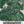 Wormwood Herb Seeds For Planting (Artemisis absinthium)