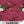 Red Yarrow Seeds For Planting (Achillea millefolium rubra)