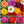 Giants Of California Zinnia Mixture (Zinnia elegans)