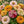 Candystripe Zinnia Mixture (Zinnia elegans)