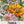 Candystripe Zinnia Mixture (Zinnia elegans)