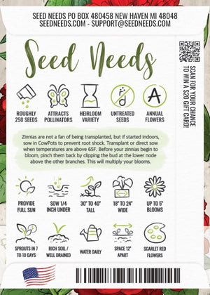 Cherry Queen Zinnia Seeds For Planting (Zinnia elegans)
