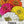 Lilliput Zinnia Mixture (Zinnia elegans)