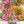 Peppermint Stick Zinnia Mixture (Zinnia elegans)