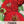 Scarlet Flame Zinnia Seeds For Planting