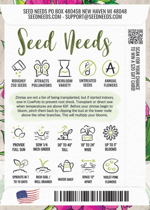 Violet Queen Zinnia Seeds For Planting (Zinnia elegans)