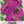Violet Queen Zinnia Seeds For Planting (Zinnia elegans)