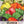 Rainbow Mixed Bell Pepper Seeds For Planting (Capsicum Annuum)