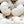 Baby Boo Pumpkin Seeds For Planting (Cucurbita pepo)