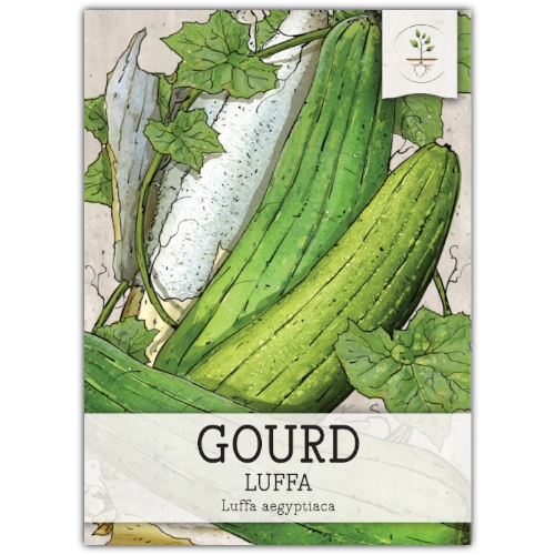 Luffa Gourd Seeds For Planting (Luffa aegyptiaca)