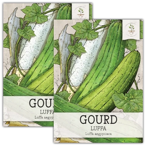 Luffa Gourd Seeds For Planting (Luffa aegyptiaca)