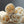 Luffa Gourd Seeds For Planting (Luffa aegyptiaca)