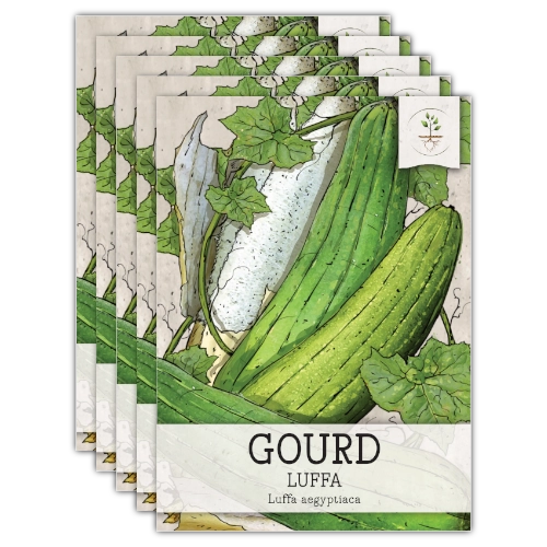 Luffa Gourd Seeds For Planting (Luffa aegyptiaca)