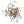 Rosemary Herb Seeds For Planting (Rosemarinus officinalis)
