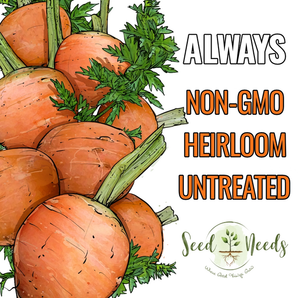 Paris Market Carrot Seeds For Planting (Daucus carota)