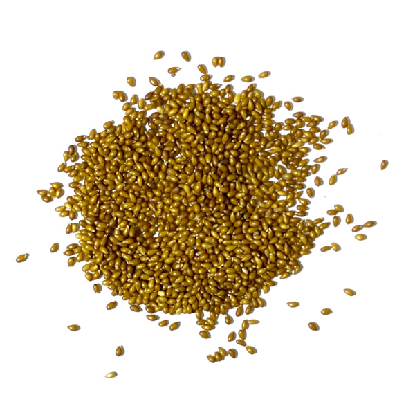 King Henry Viola Seeds For Planting (Viola cornuta)