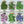 Culinary Herb Seed Variety Pack (12 Packets)