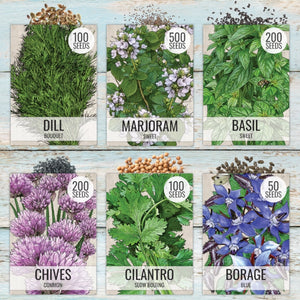 Culinary Herb Seed Variety Pack (12 Packets)