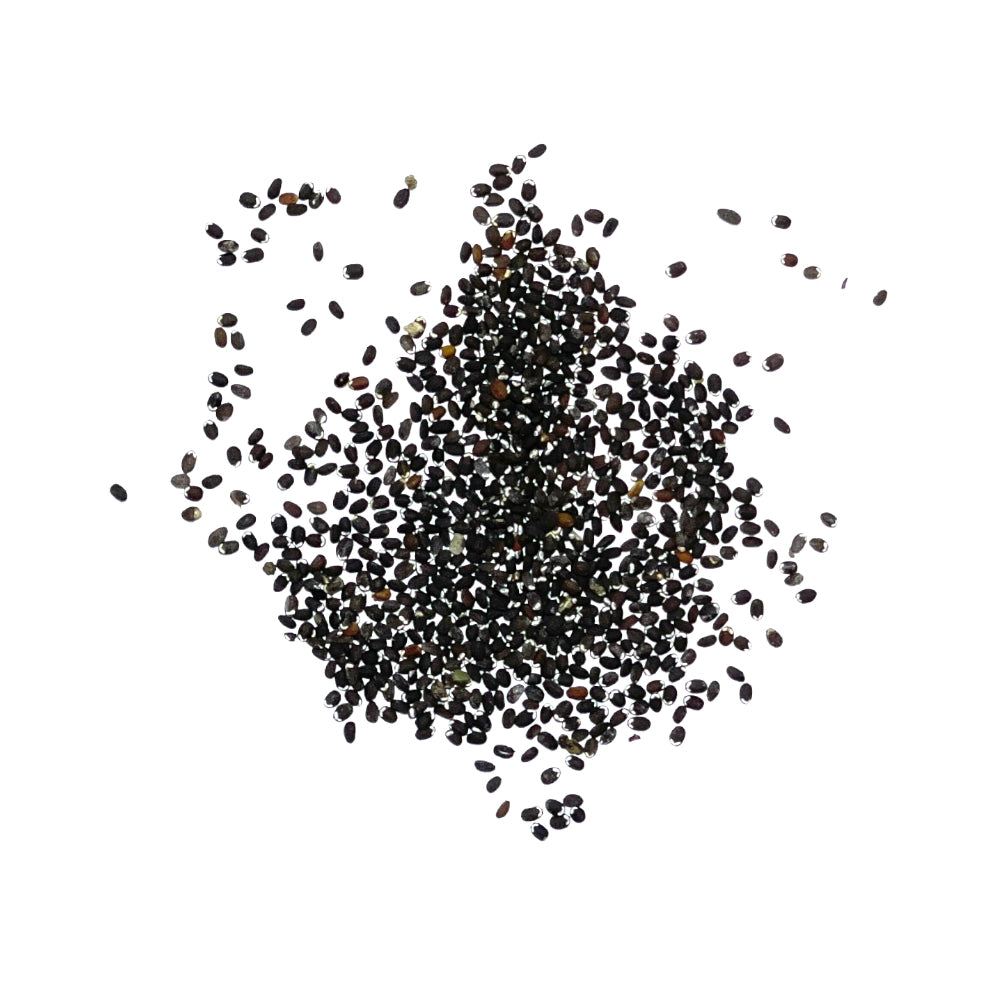 Catmint Herb Seeds For Planting (Nepeta mussinii)