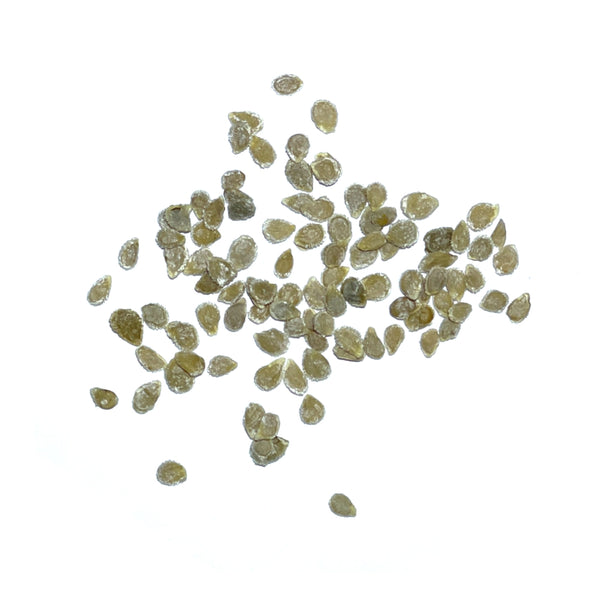 Beefsteak Tomato Seeds For Planting (Lycopersicon esculentum)