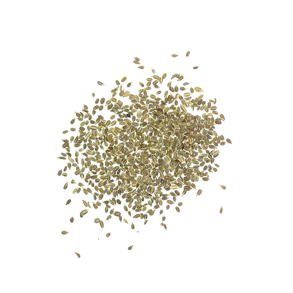 Tendersweet Carrot Seeds For Planting (Daucus carota)