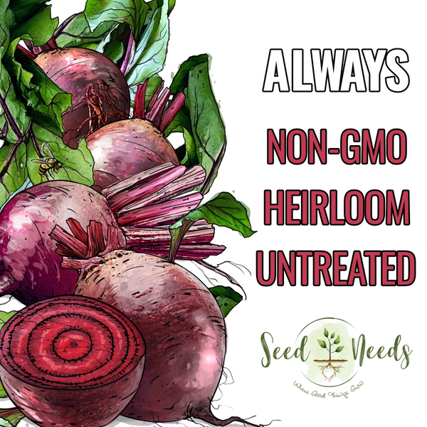Ruby Queen Beet Seeds For Planting (Beta vulgaris)
