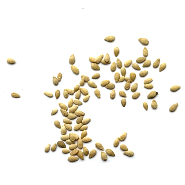 Cucamelon Seeds For Planting, Mexican Sour Gherkin (Melothria scabra)