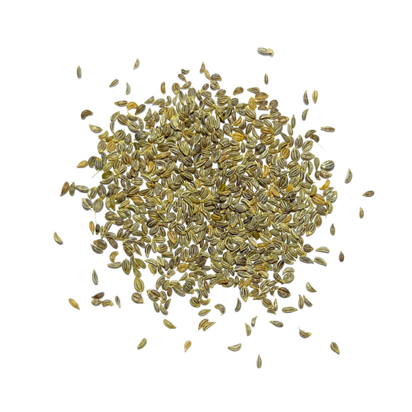 Italian Flat Leaf Parsley Seeds For Planting (Petroselinum crispum)
