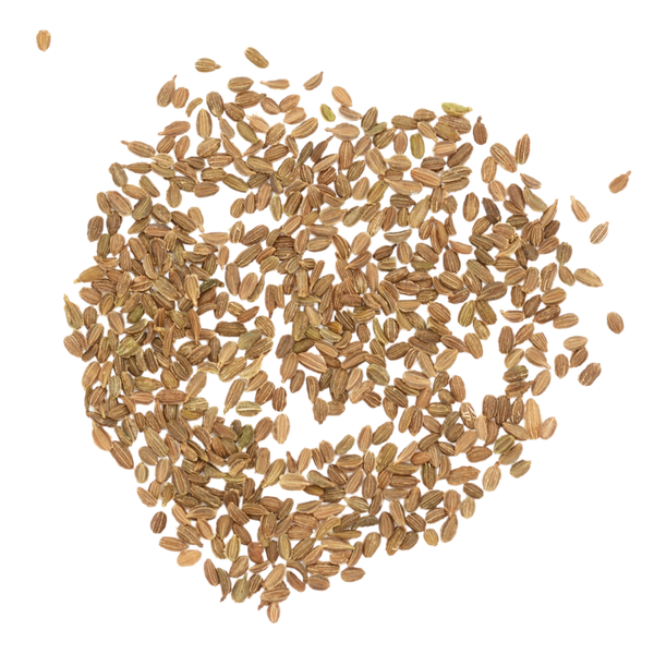 Red Core Chantenay Carrot Seeds For Planting (Daucus carota)