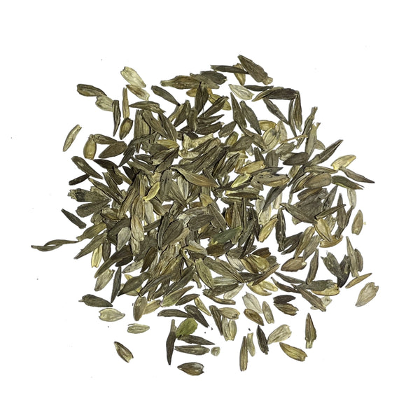 Scarlet Flame Zinnia Seeds For Planting