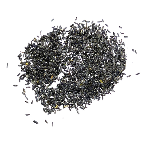 Coreopsis Plains Seeds For Planting (Coreopsis tinctoria)