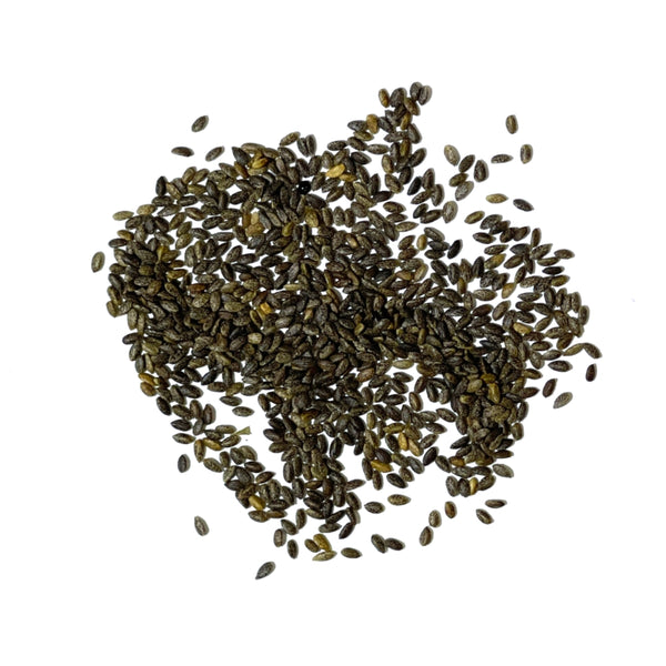 Scarlet Sage Seeds For Planting / Scarlet Salvia (Salvia coccinea)