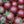 Black Cherry Tomato Seeds For Planting (Solanum lycopersicum)