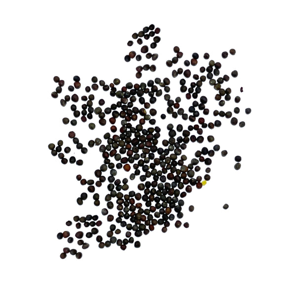 Romanesco Broccoli Seeds For Planting (Brassica oleracea)