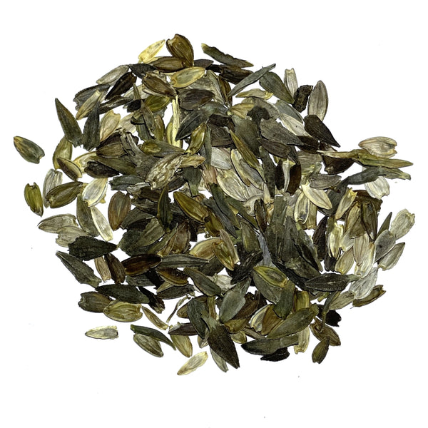 Candystripe Zinnia Mixture (Zinnia elegans)