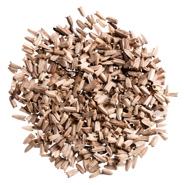 Purple Coneflower Seeds For Planting (Echinacea purpurea)