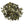 Canary Bird Zinnia Seeds For Planting (Zinnia elegans)