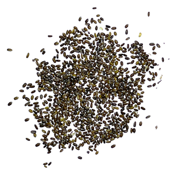 Panorama Blend Bee Balm Seeds For Planting (Monarda didyma)