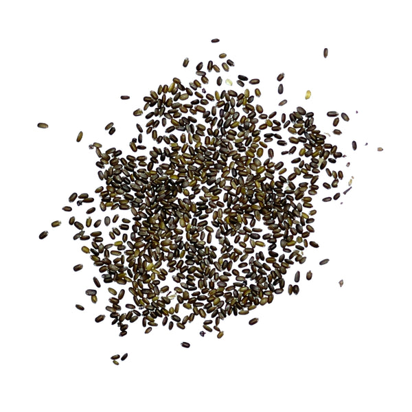 Wild Bee Balm Seeds For Planting (Monarda fistulosa)