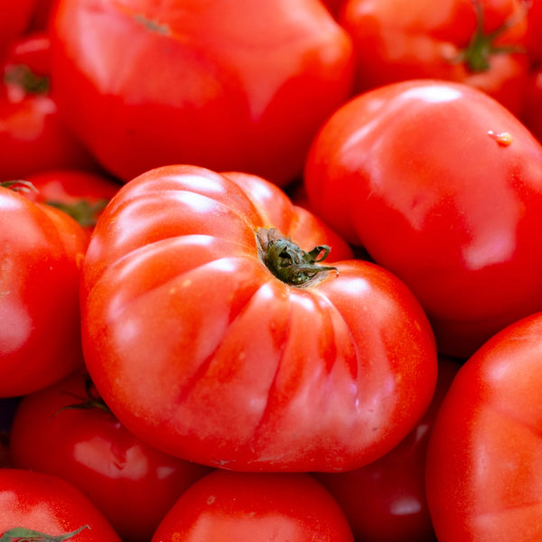 Beefsteak Tomato Seeds For Planting (Lycopersicon esculentum)