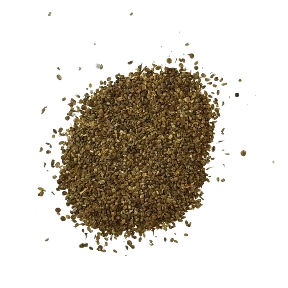 Culantro Herb Seeds For Planting (Eryngium foetidum)